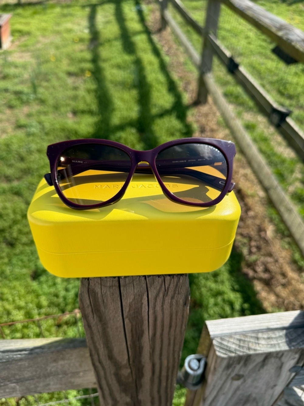 Marc Jacobs Women’s Cat Eye Plum/Brown Gradient Lenses Sunglasses-NEW